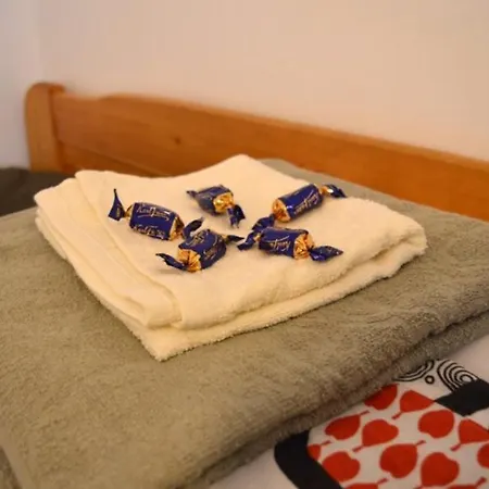 Pensionat Berry Rovaniemi